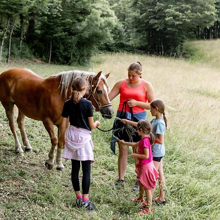 Smrekarjeva Domacija Villa Postumia Esterno foto