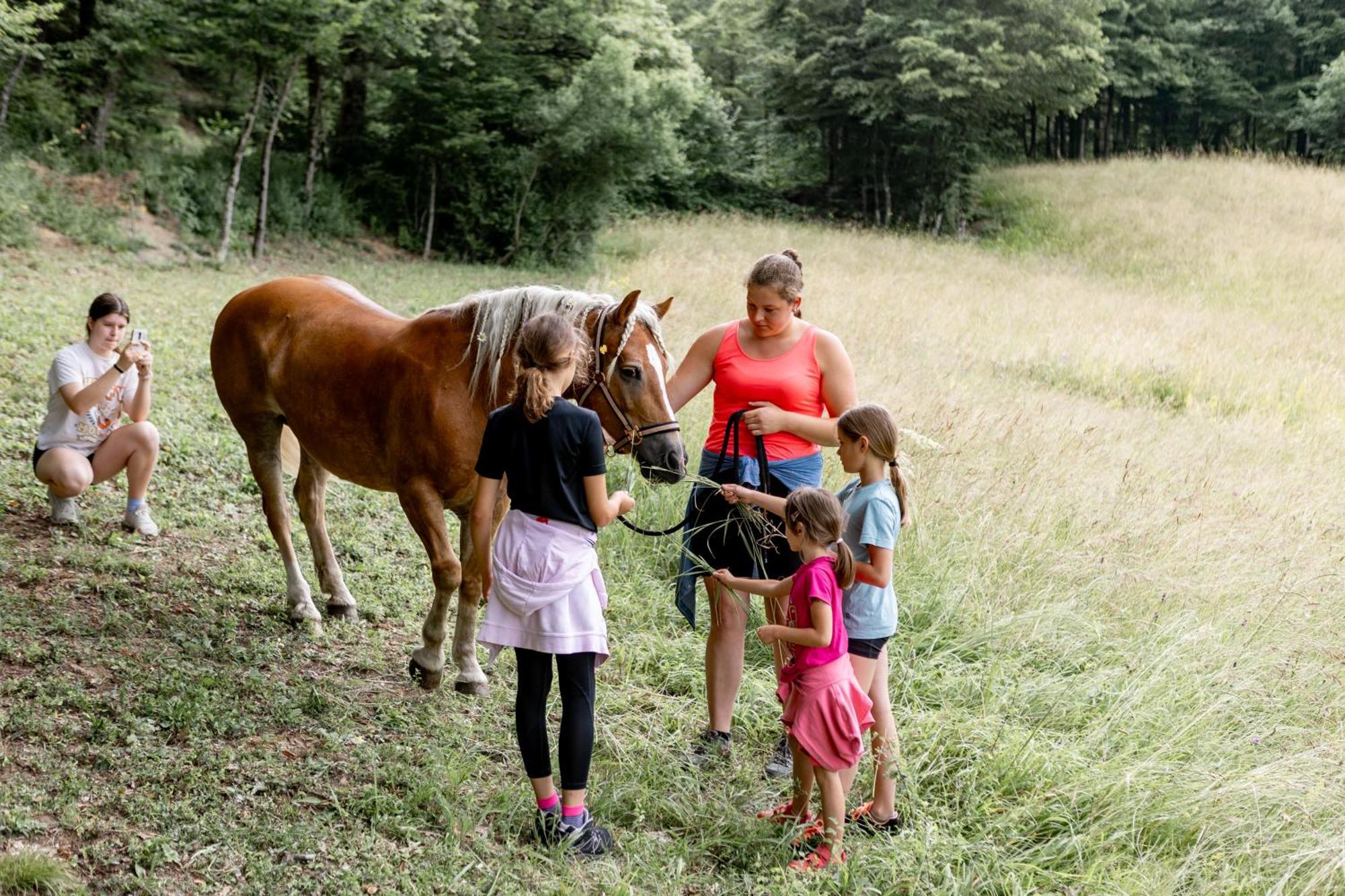 Smrekarjeva Domacija Villa Postumia Esterno foto